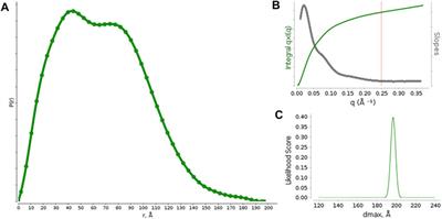 Structural Characterization of the Full-Length Anti-CD20 Antibody Rituximab